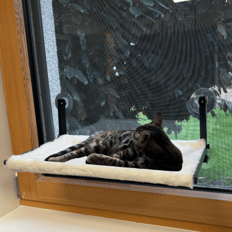 Hamac pour Chat, à ventouses