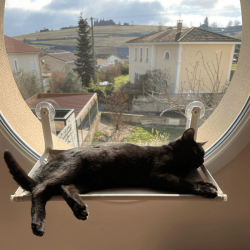 Hamac pour Chat, à ventouses